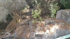 Заброшенный отель Naturland Натурленд Чамьюва. Кемер Турция Разрушенный фуникулёр Октябрь 2020 г.ч.