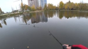 Воблер TsuYoki DRAGA 130SP цвет  439 (16.11.2020)Воблер TsuYoki DRAGA 130SP цвет  439 (16.11.2020)