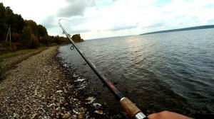 Рыбалка на Сурском водохранилище Ловим плотву и подлещика