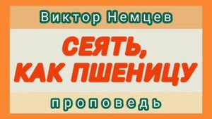 СЕЯТЬ, КАК ПШЕНИЦУ (Виктор Немцев, проповедь).