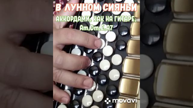 БАЯН."В ЛУННОМ СИЯНЬИ" БЕЗ НОТ АККОРДАМИ Am, Dm, E, A7, КАК НА ГИТАРЕ.АВТОР ЕВГЕНИЙ ЮРЬЕВ.