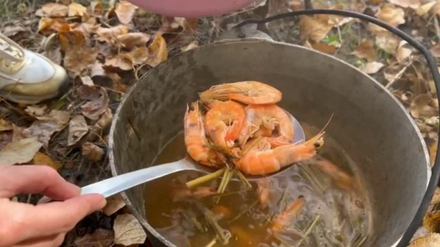 Приготовили на природе грибную юшку, добавки просили все!