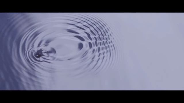 SEAN CARROLL - The Meaning of Life смотреть онлайн