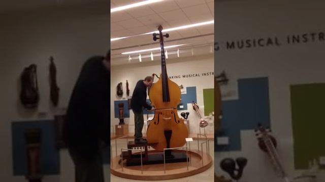 Octobass plays Jaws