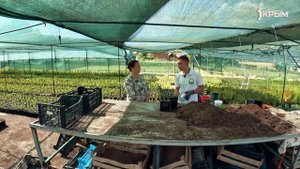 Деревенское счастье Алима Алимжанова