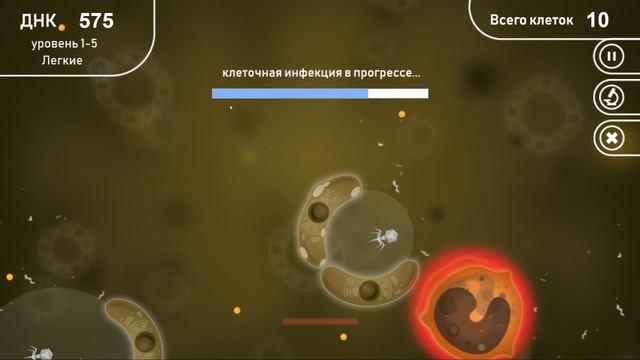 КОЛОНИЯ БАКТЕРИЙ ВЛИЯЕТ НА КЛЕТКИ ЧЕЛОВЕКА ( Infectious ) смотреть онлайн