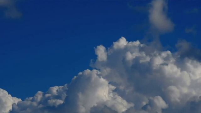 Херувимская песнь  "Серафимовская" (муз. иер. Димитрия и Юлии Броновицких)