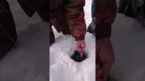 Зимняя рыбалка в Юмагузино от Лёха.