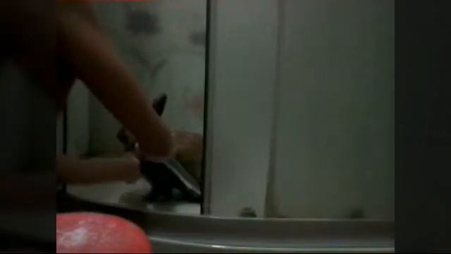 Как помыть кролика правильно ? смотреть онлайн