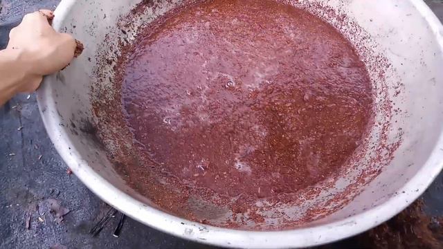 Cách nhân giống cây tróc bạc cẩm thạch (Syngonium podophyllum albo variegata) смотреть онлайн