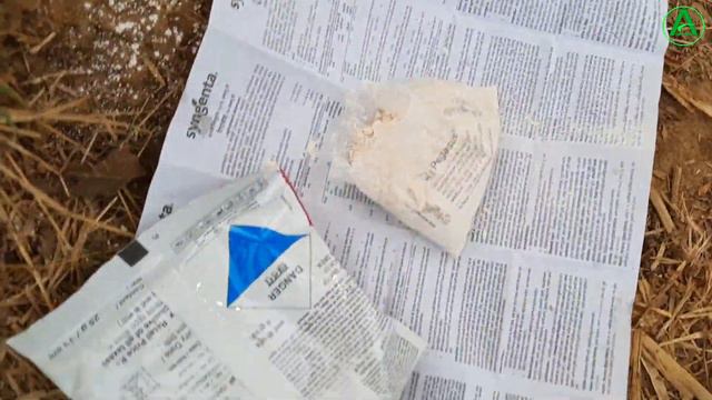 Pegasus Syngenta || Mite, Thrips, Whitefly को चुटकियों में कंट्रोल कर लेता है