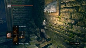 Прохождение Dark Souls - часть 8 Лес Тёмных Корней