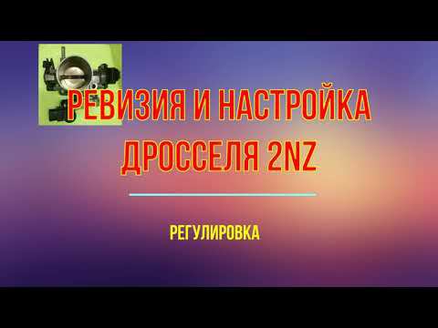 Настройка дросселя с мотора 1 и 2 NZ смотреть онлайн