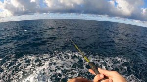Fishing False Albacore - Duo Realis Minnow 80SP Atherina