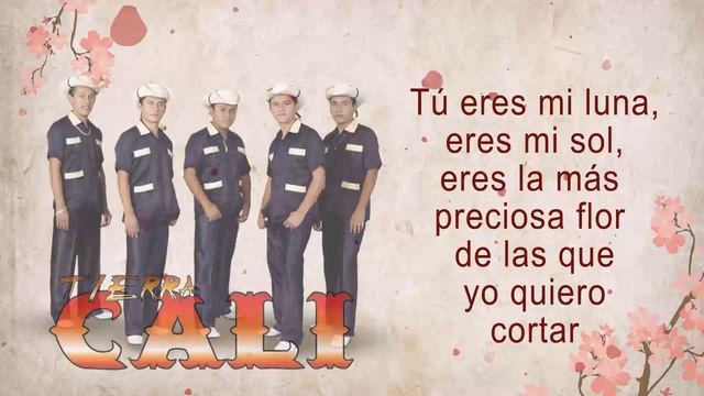 AMOR REGRESA - TIERRA CALI (Letra Oficial) смотреть онлайн