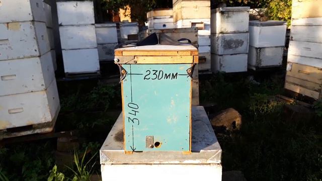 Куда направлять летки ульев | 519. 00 смотреть онлайн