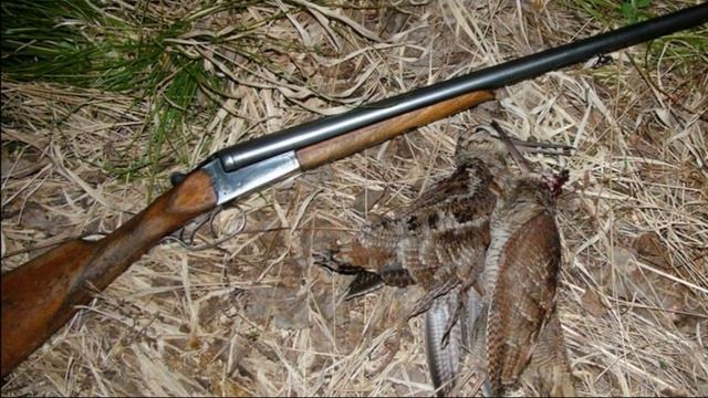 ? КАК СТРЕЛЯТЬ ВАЛЬДШНЕПА НА ТЯГЕ? смотреть онлайн