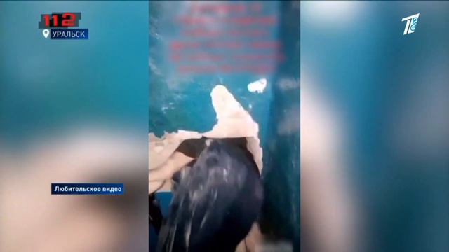 СТАВКИ ТОЛЬКО С 25 ЛЕТ, А ЗА РЕКЛАМУ - РЕАЛЬНЫЙ СРОК: ЧТО НУЖНО ИЗМЕНИТЬ В ЗАКОНЕ ОБ ИГОРНОМ БИЗНЕС смотреть онлайн