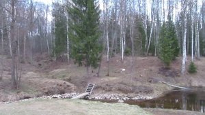 Бегущий кабан мишенная   установка