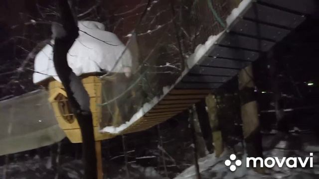 съездила блин на соревнования/влог с Москвы/положили в больницу смотреть онлайн