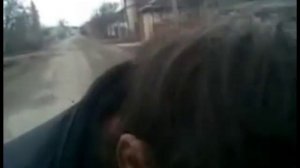 В мире животных.Процесс брачных игр.