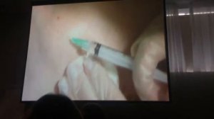 Melsmon & MD Solutions Шарова Анастасия 28 03 17