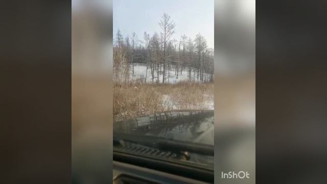 Охота на волка смотреть онлайн