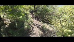 DH race Sober trail Park. Трасса "Старая красная"