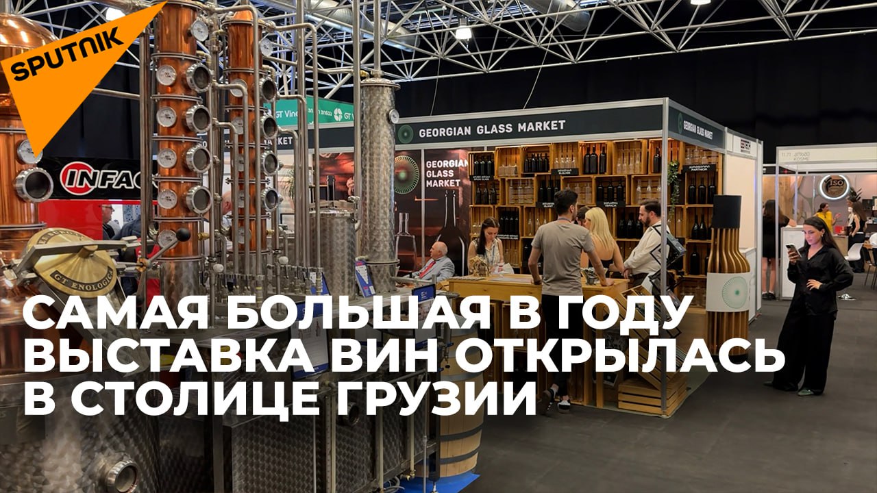 Выставка вин и виноделия WinExpo 2024 открылась в Тбилиси