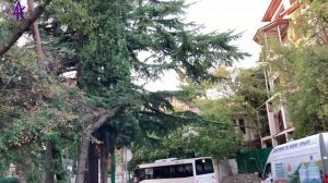 Крым. ЮБК. Гаспра. О погоде и пару слов о поездке в Форос... 08.11.23