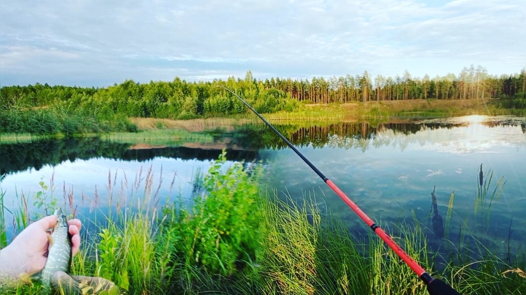 Рыбалка на ультралайт в карьере. День шнурков. Рыбалка она такая.