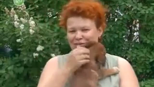 Приют для бездомных животных общественной организации «В добрые руки» смотреть онлайн