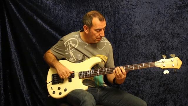 Mein Lonely Geburtstagsblues 2020 - Bass Solo 1981er Ibanez Roadster смотреть онлайн