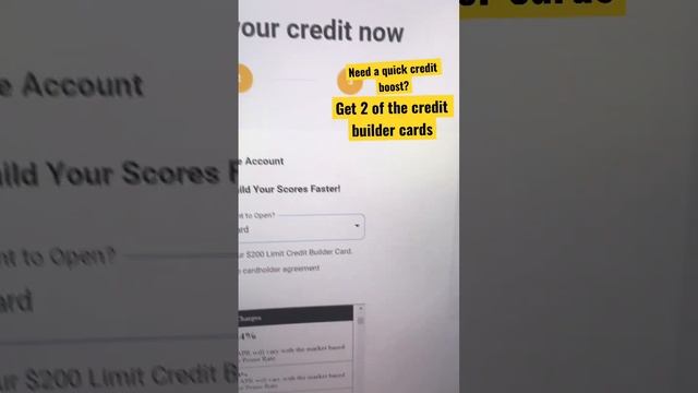 Credit builder card(s)