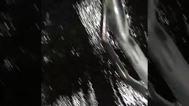 Ремонт задних арок. гаражные будни. смотреть онлайн