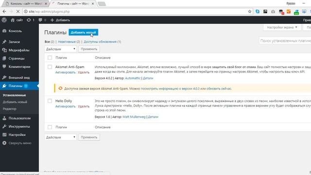 Создание сайта с нуля #0 Open Server Wordpress