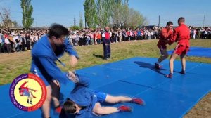 Выступления юных самбистов 140 школы Волгограда на военно-спортивном празднике