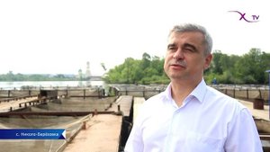 От икринки до взрослой рыбы