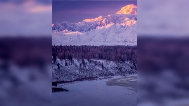 ДОРОГА К ХРАМУ - ПРОФЕССОР, УЧЕНЫЙ С МИРОВЫМ ИМЕНЕМ - ИЕРОСХИМОНАХ МОИСЕЙ(БОГОЛЮБОВ) смотреть онлайн