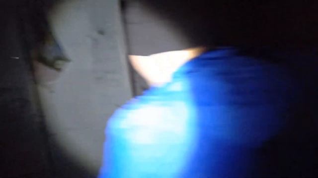 ПРИШЛИ В ЗАБРОШКУ С СОБАКОЙ!/Пришли в заброшенную лабораторию! Что здесь произошло и кто стучит?! смотреть онлайн