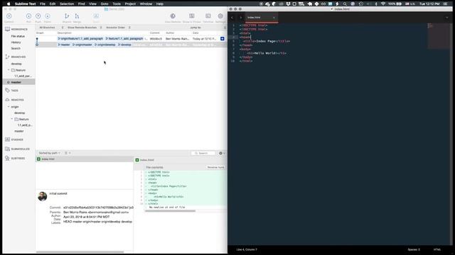 How to Use Source Tree for Collaborative Software Development