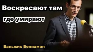 Воскресают там, где умирают Бальжик Вениамин Проповедь МСЦ ЕХБ 2020