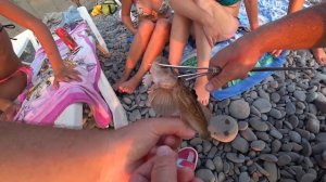 Подводная рыбалка в Широкой Балке