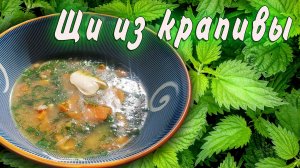 Щи из крапивы - самый простой и вкусный рецепт.