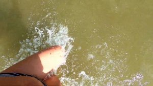 ОБСКОЕ море 1 / Новосибирское водохранилище - устье КАРАКАН / Август 2022