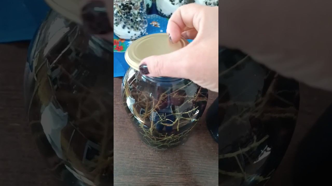Компот из черемухи на зиму . Простой рецепт без заморочек.