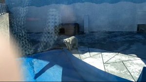 челябинск 2 0