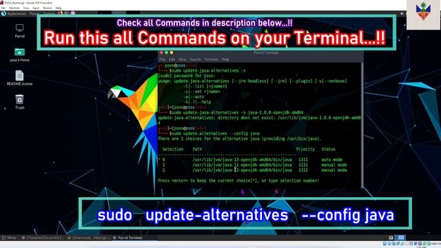 how to solve illegal access operation warning and run maltego on parrot security os смотреть онлайн