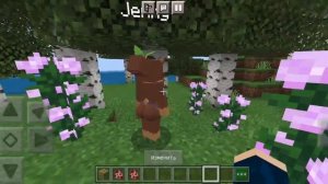 Mod Jenny Mod V4 (Bia Update? #jenny mcpe/bedrock minecraft pe