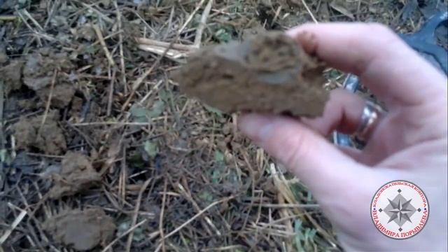 Кладоискательство, снятие зимней "ломки", коп